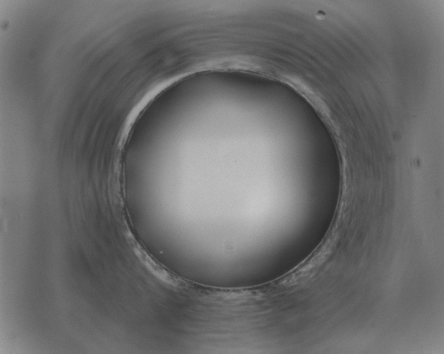 X0000073900816200609011717