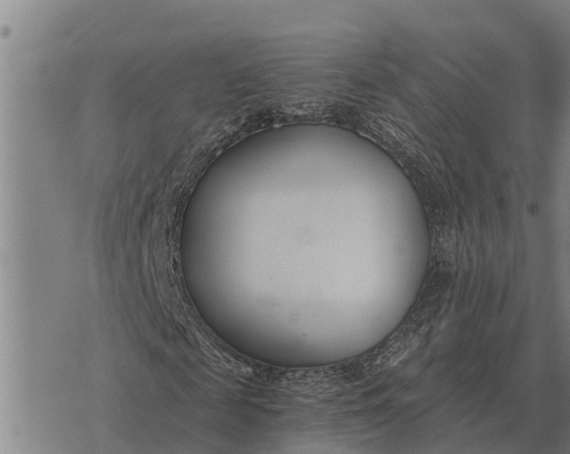 X0000073900817200609011716