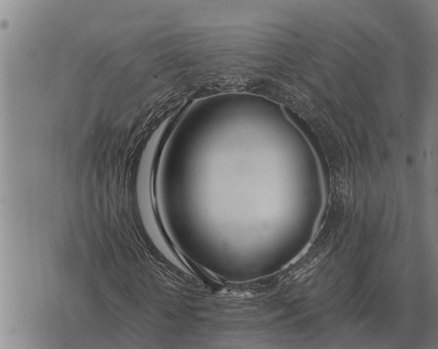 X0000073900818200609011716