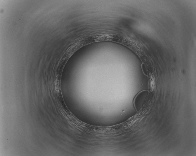 X0000073900819200609011716