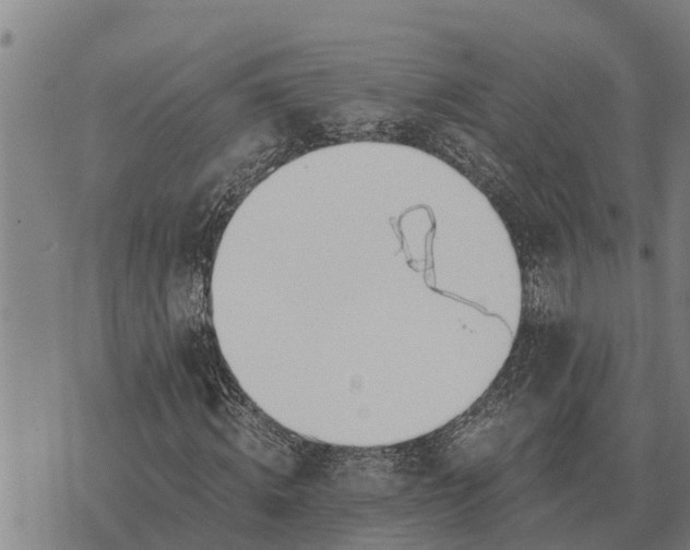 X0000073900820200609011716