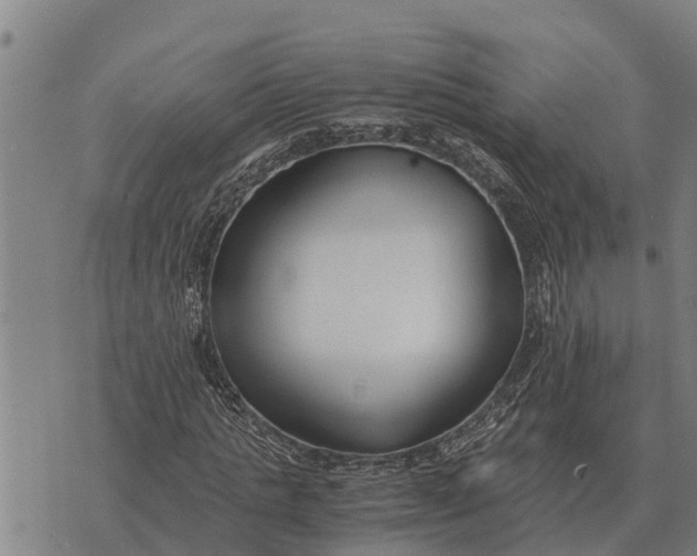 X0000073900821200609011716