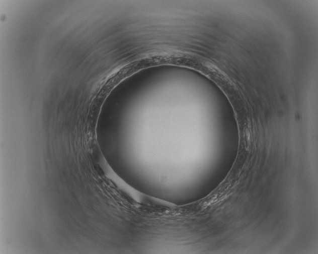 X0000073900822200609011716