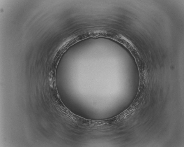 X0000073900823200609011716