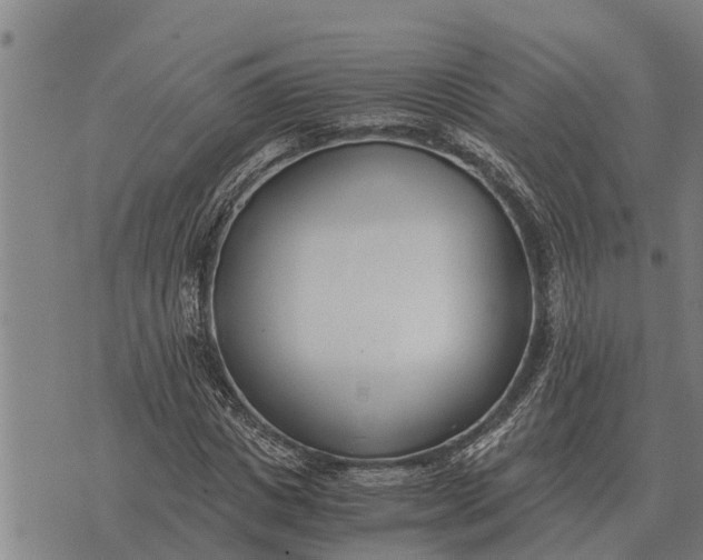 X0000073900825200609011716