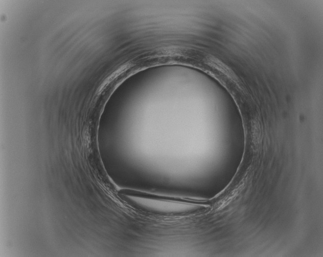 X0000073900826200609011716