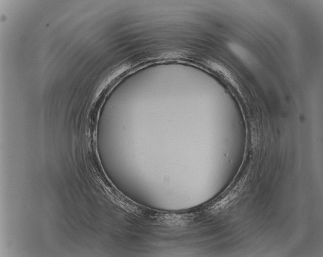 X0000073900827200609011716