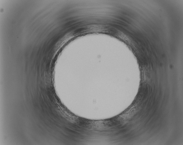 X0000073900828200609011716