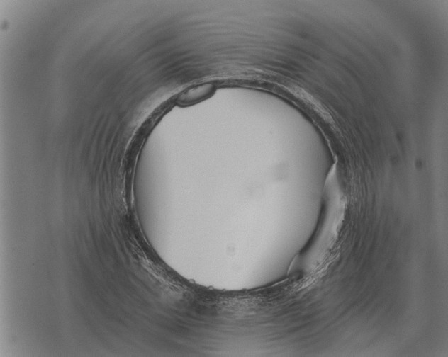 X0000073900830200609011716