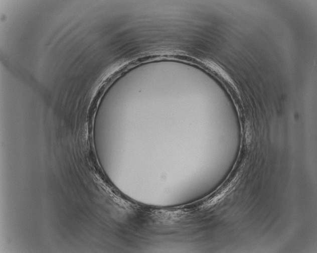 X0000073900831200609011716