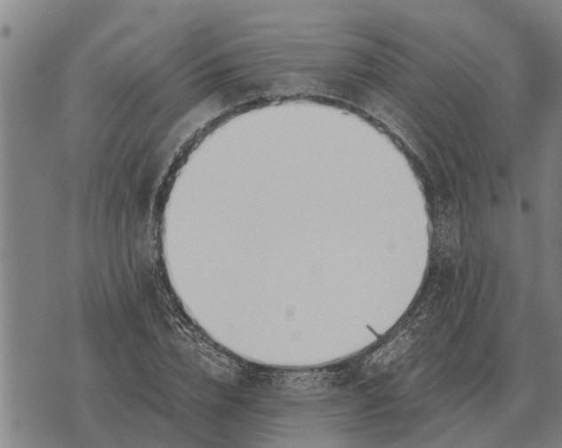 X0000073900832200609011716