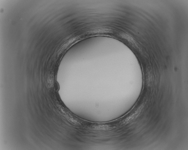 X0000073900833200609011716