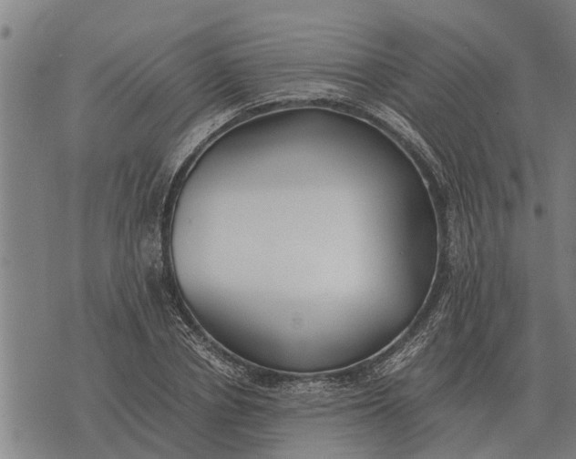 X0000073900834200609011716