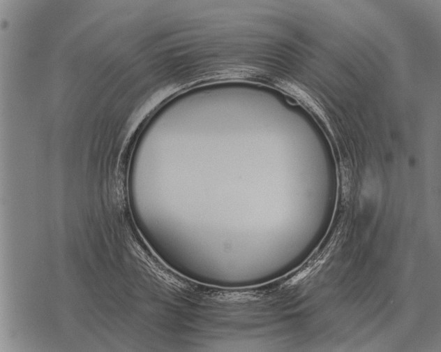 X0000073900835200609011716