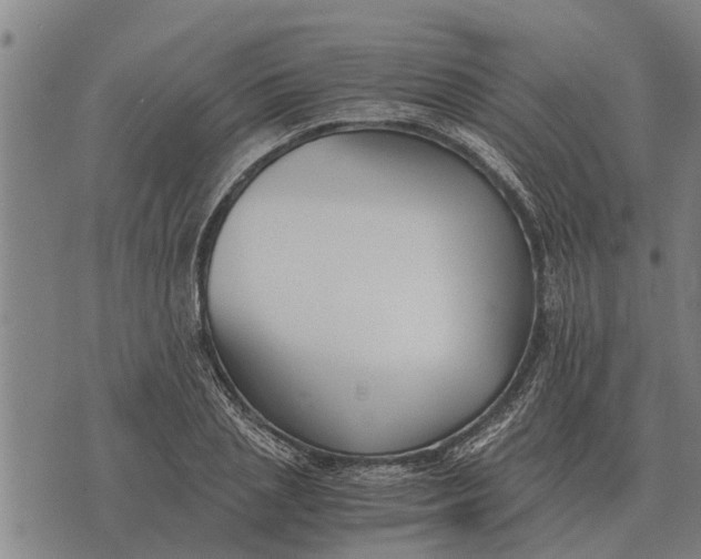 X0000073900837200609011716