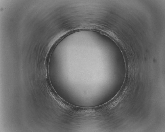 X0000073900838200609011716