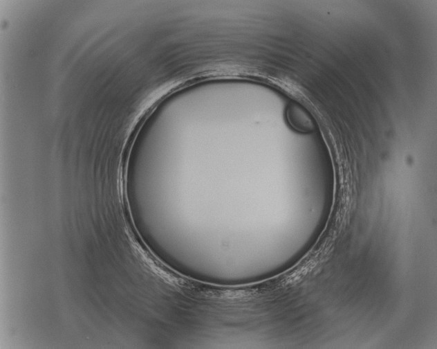 X0000073900839200609011716