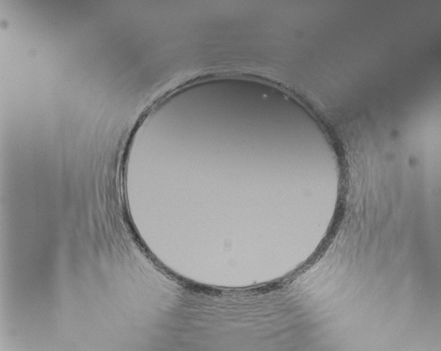 X0000073900840200609011716