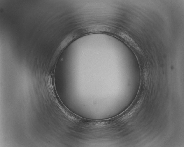 X0000073900841200609011716