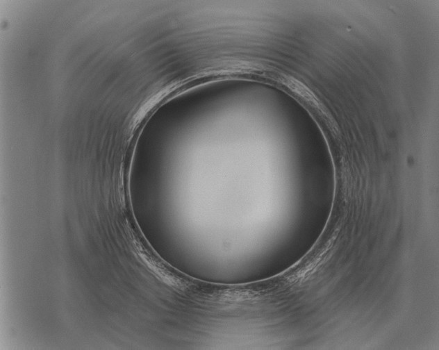 X0000073900842200609011716