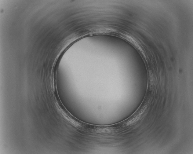 X0000073900843200609011716