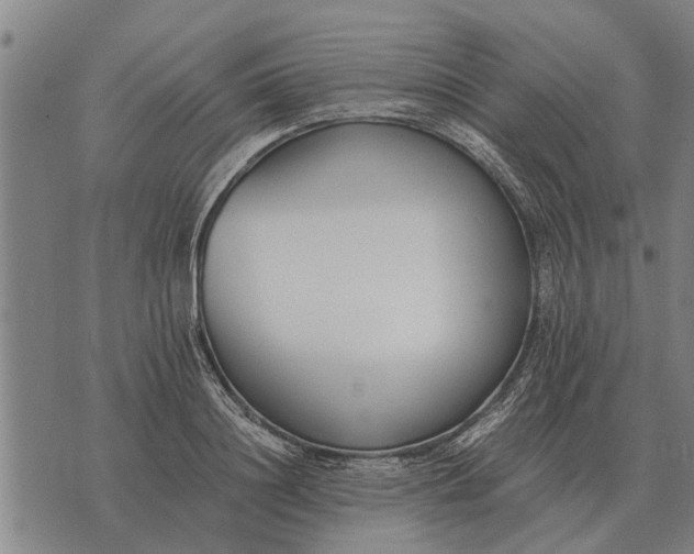 X0000073900844200609011716