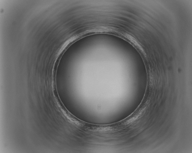 X0000073900845200609011716