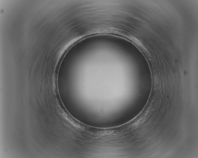 X0000073900846200609011716