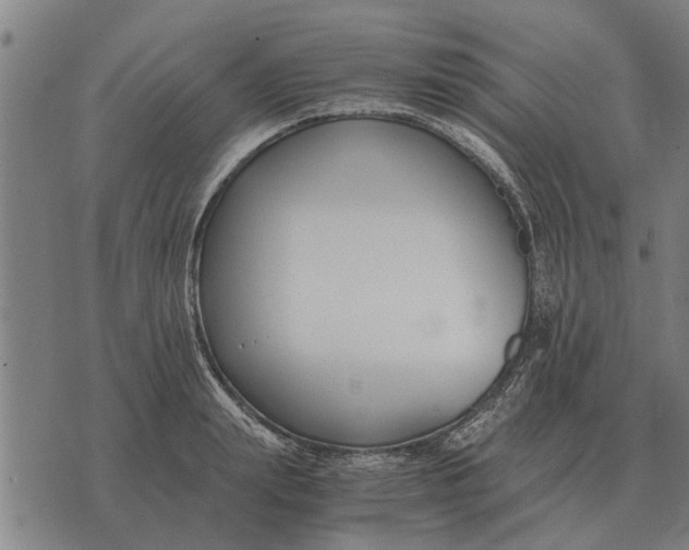 X0000073900847200609011716