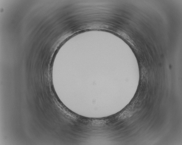 X0000073900848200609011716