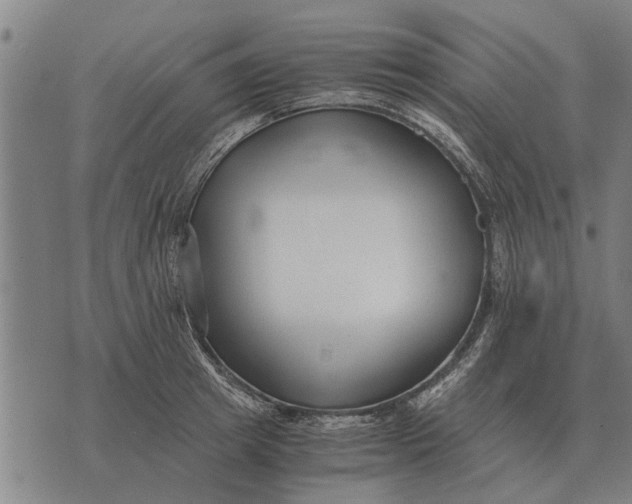 X0000073900849200609011716