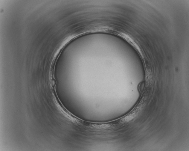 X0000073900851200609011716