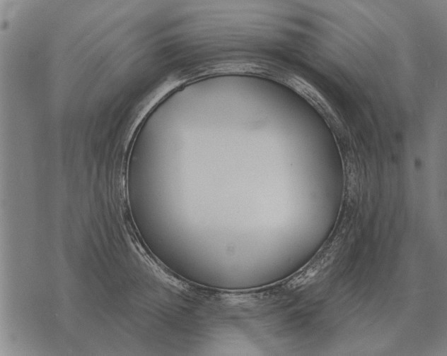 X0000073900852200609011716