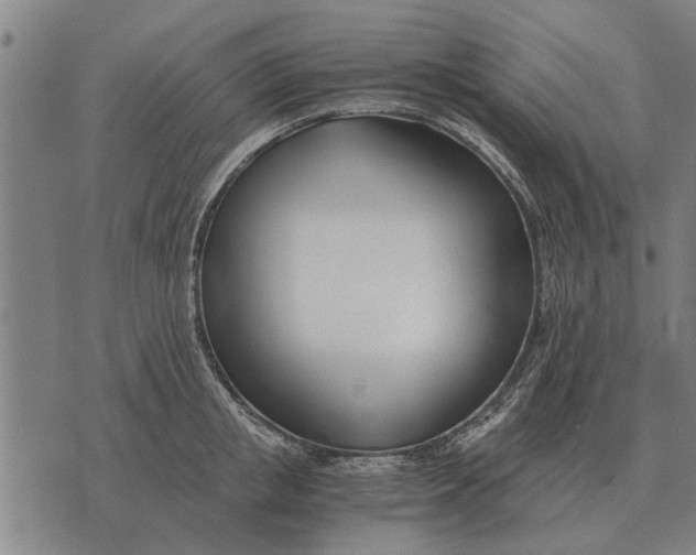 X0000073900853200609011716