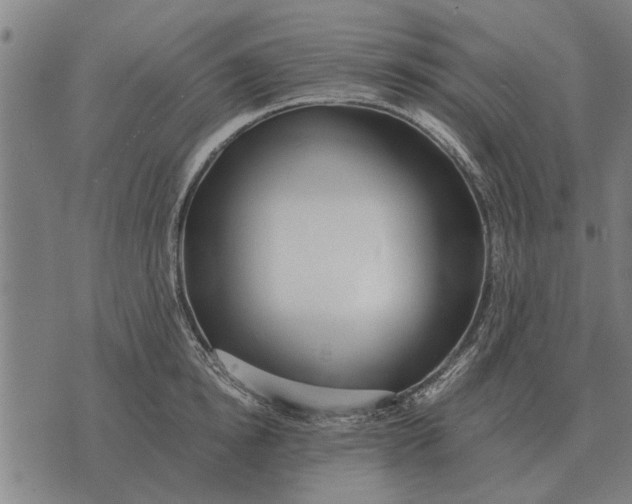 X0000073900854200609011716