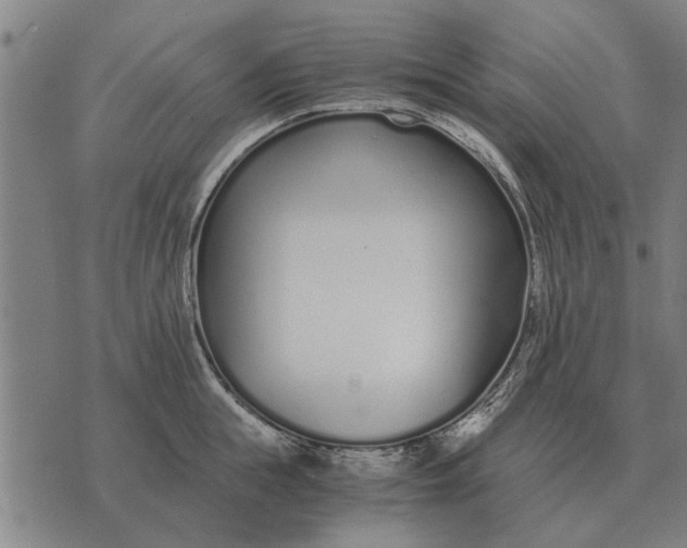 X0000073900855200609011716