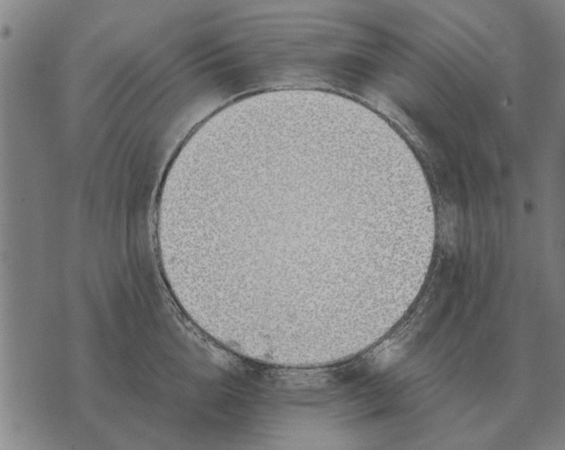 X0000073900856200609011716