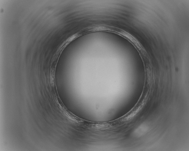 X0000073900857200609011716