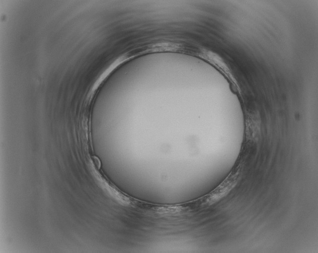 X0000073900859200609011716