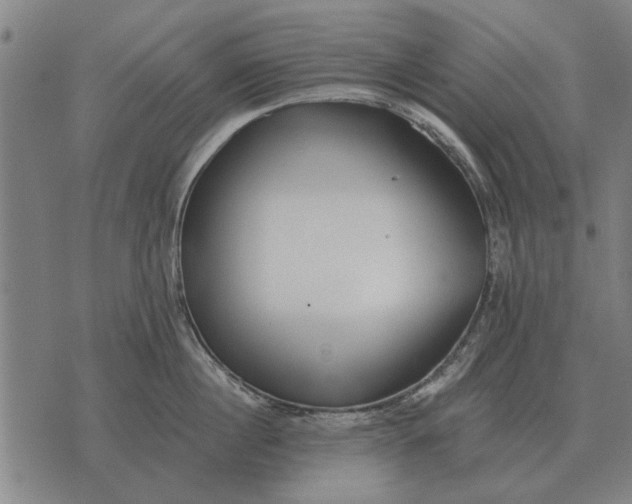 X0000073900860200609011716