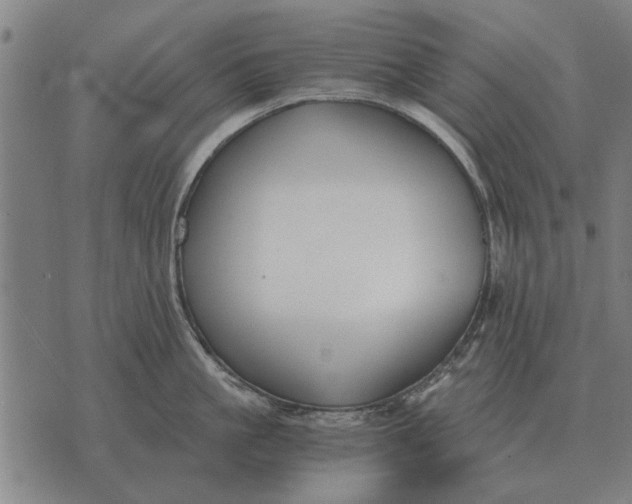 X0000073900861200609011717