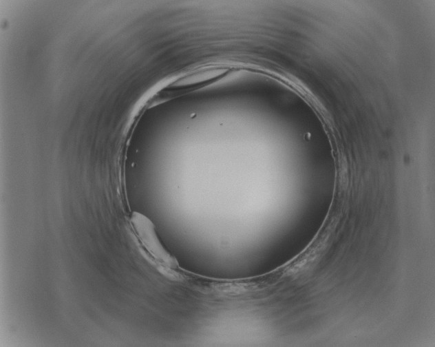 X0000073900862200609011717