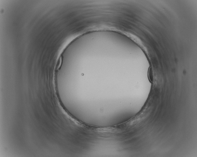 X0000073900863200609011717