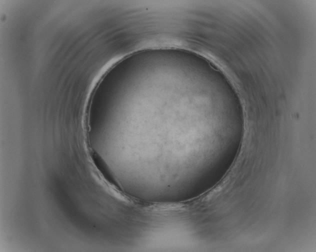 X0000073900864200609011717