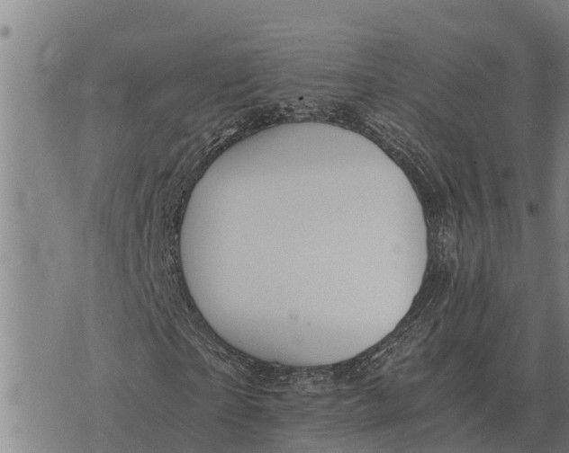 X0000073900865200609011716