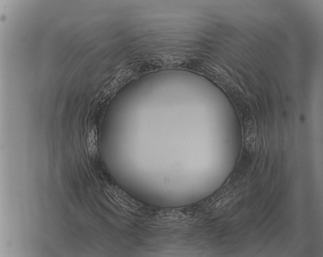 X0000073900866200609011716