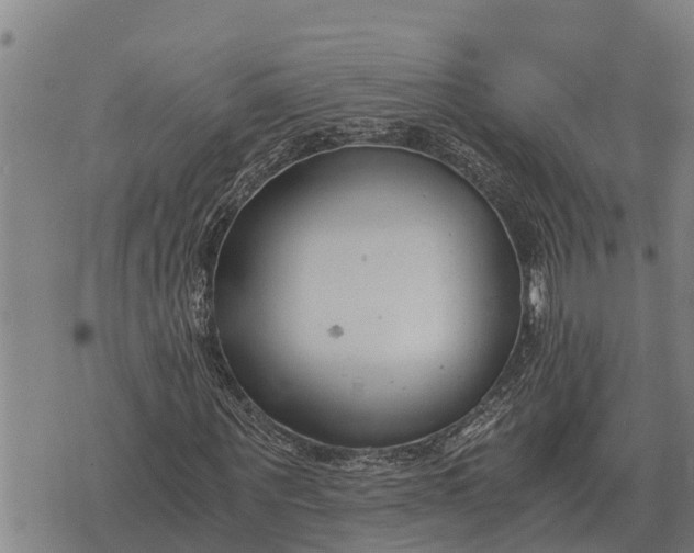 X0000073900867200609011716