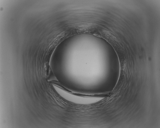 X0000073900868200609011716