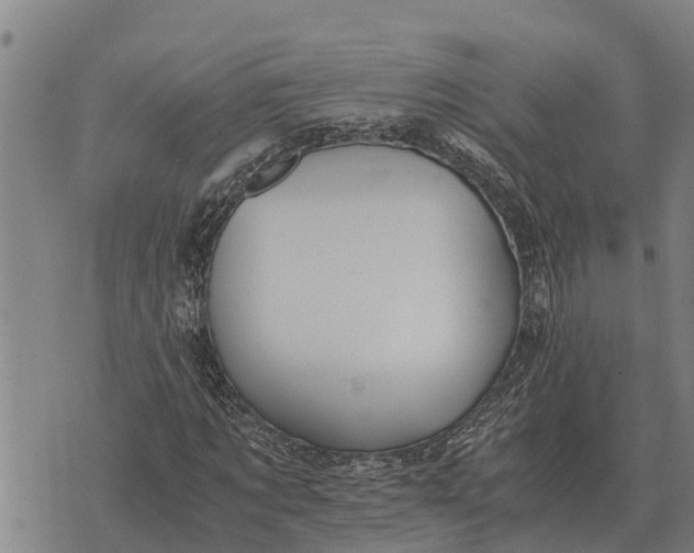 X0000073900869200609011716