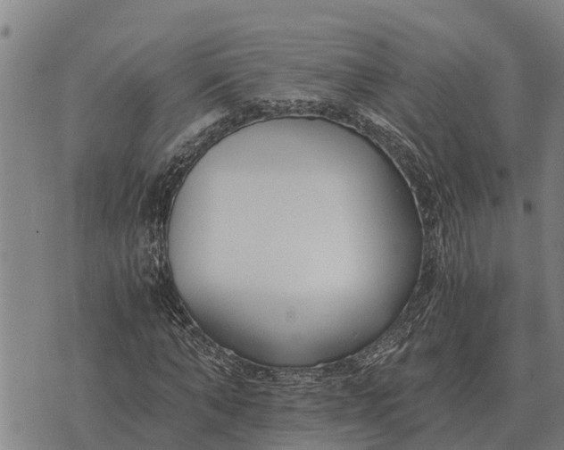 X0000073900870200609011716